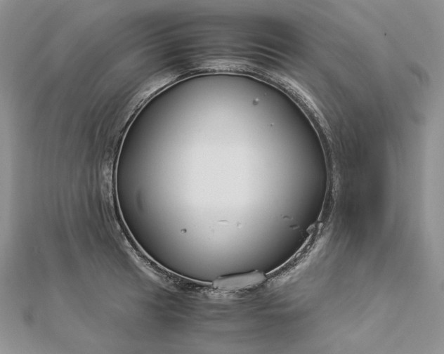 X0000112881041200909041637