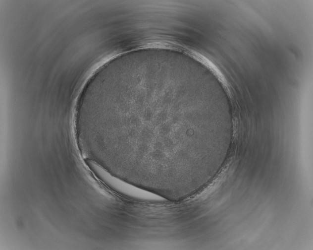 X0000112881043200909041637