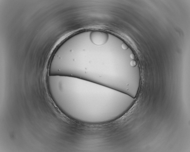 X0000112881044200909041637