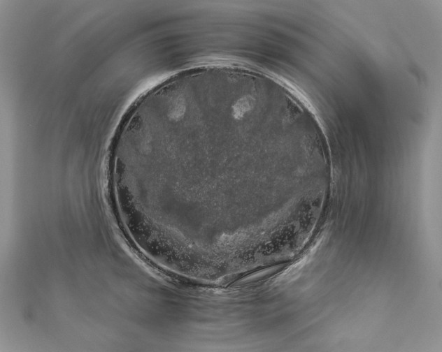 X0000112881045200909041637