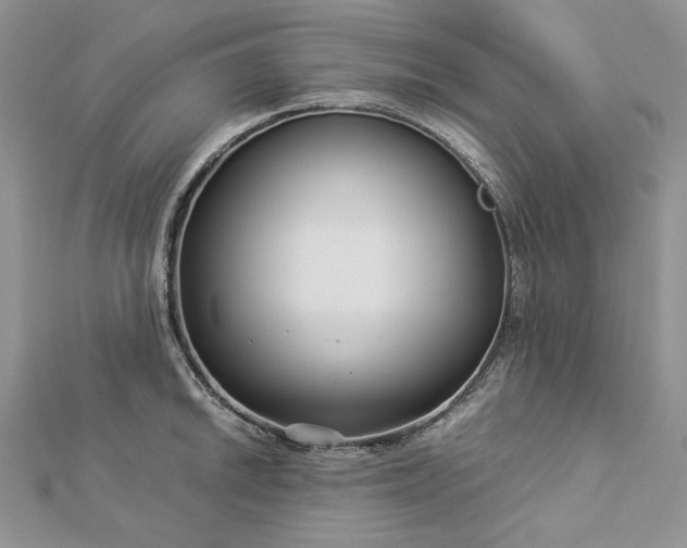 X0000112881046200909041637