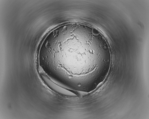 X0000112881048200909041637