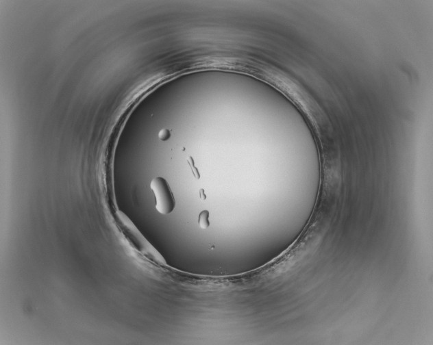 X0000112881050200909041637