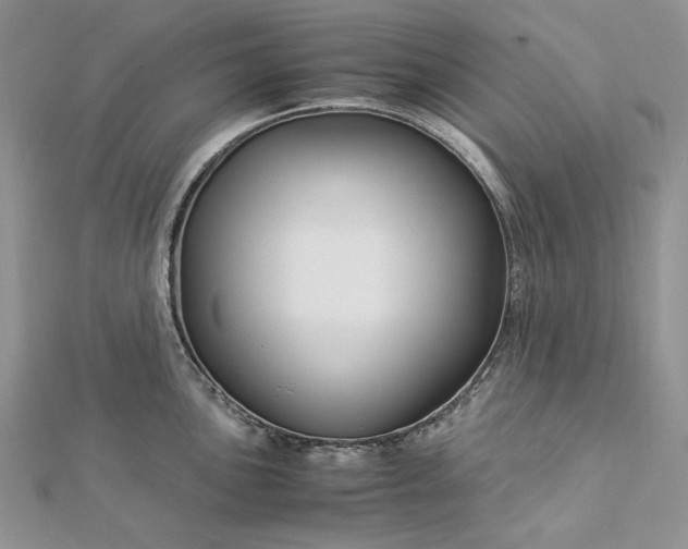 X0000112881051200909041637