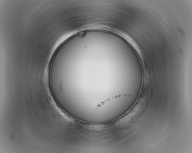 X0000112881053200909041637