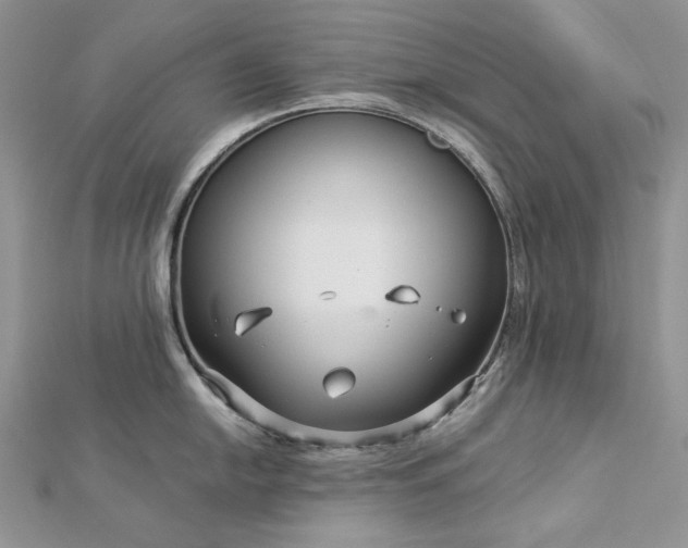 X0000112881054200909041637