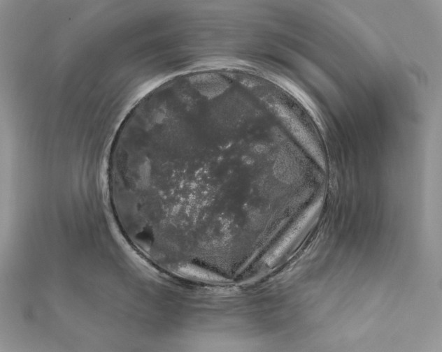 X0000112881055200909041637