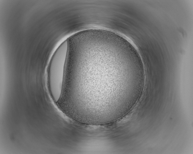 X0000112881056200909041637