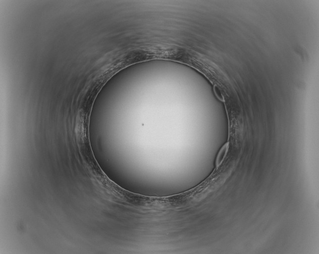 X0000112881058200909041637