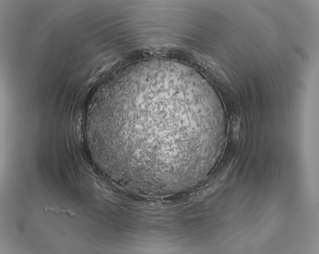 X0000112881060200909041637