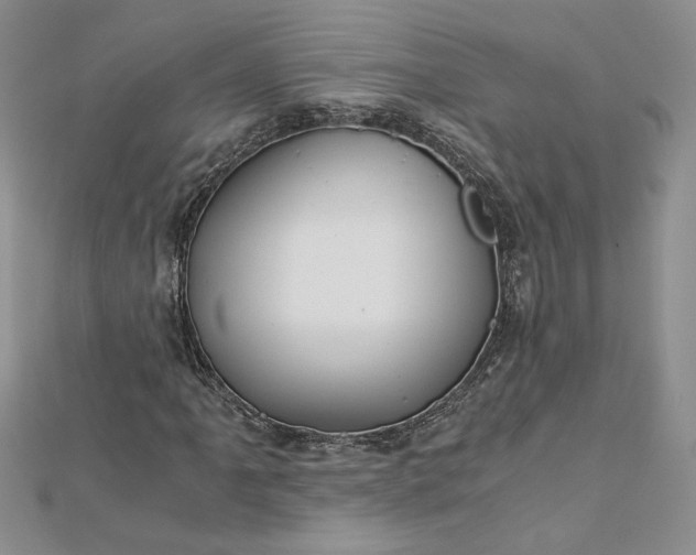 X0000112881061200909041637