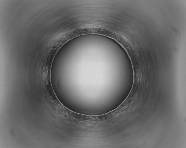 X0000112881062200909041637