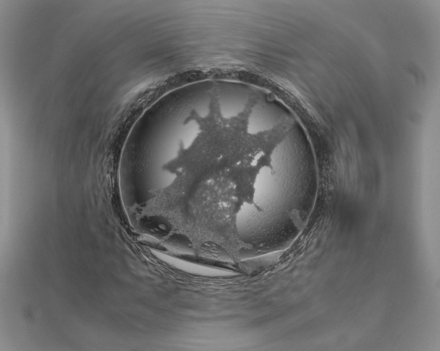 X0000112881063200909041637