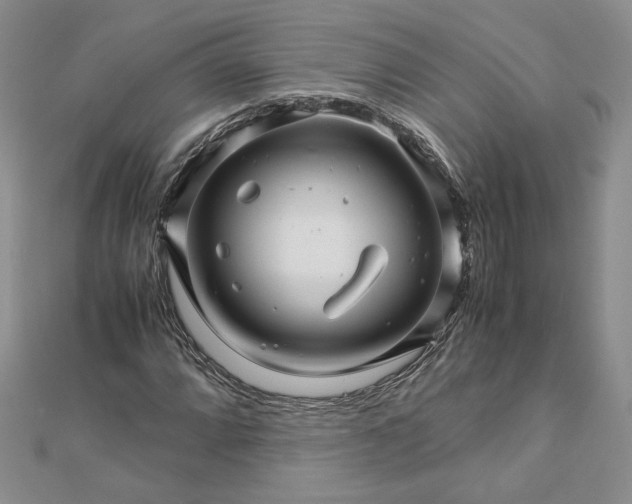 X0000112881064200909041637