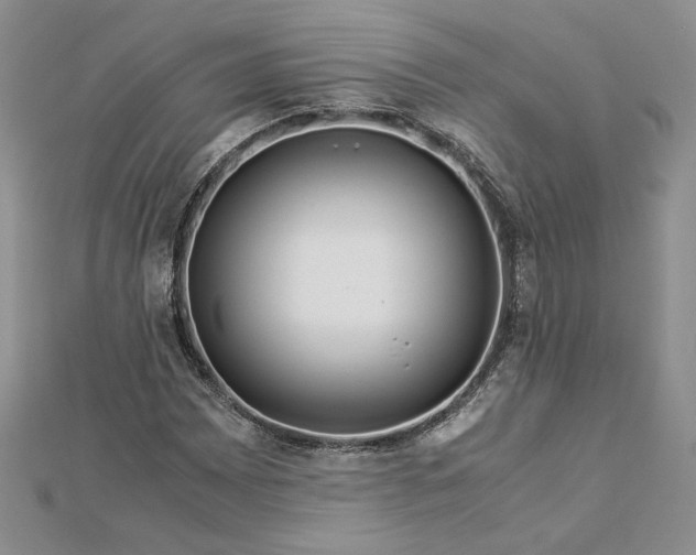 X0000112881065200909041637