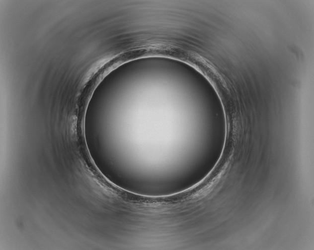 X0000112881066200909041637