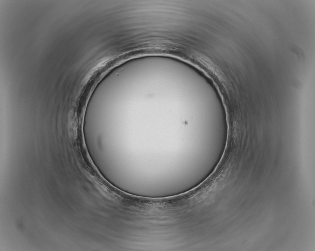 X0000112881067200909041636