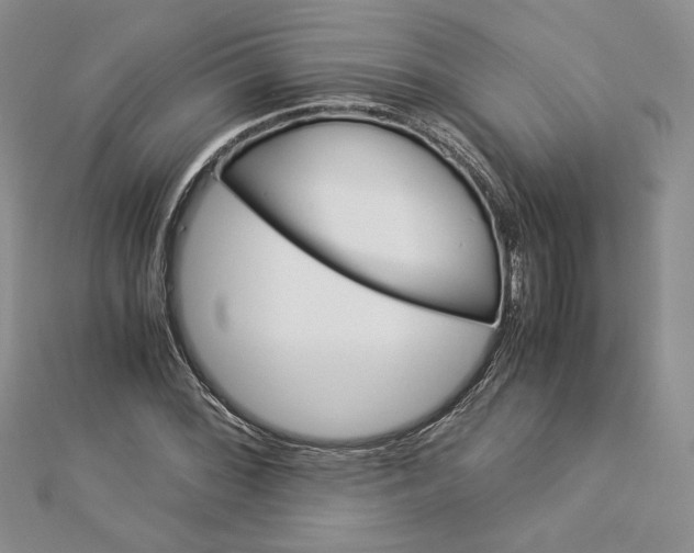 X0000112881068200909041636