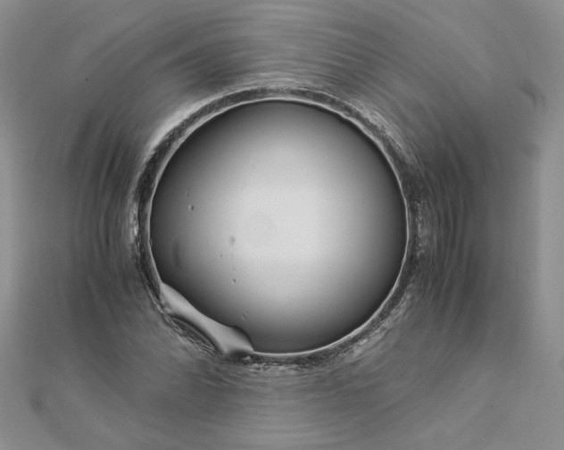 X0000112881070200909041636