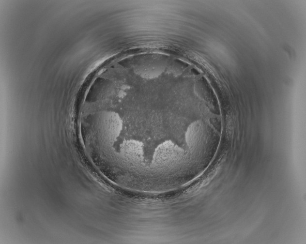 X0000112881071200909041636