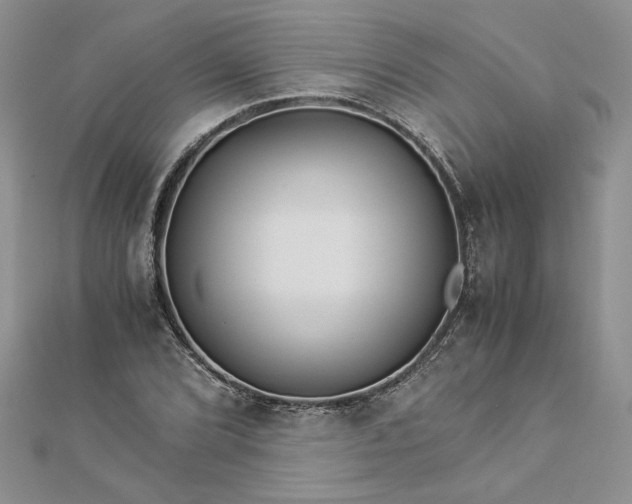 X0000112881072200909041636