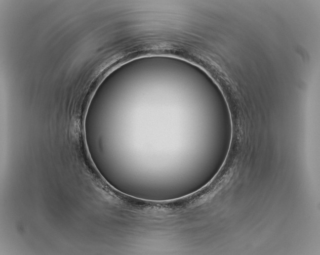 X0000112881073200909041636