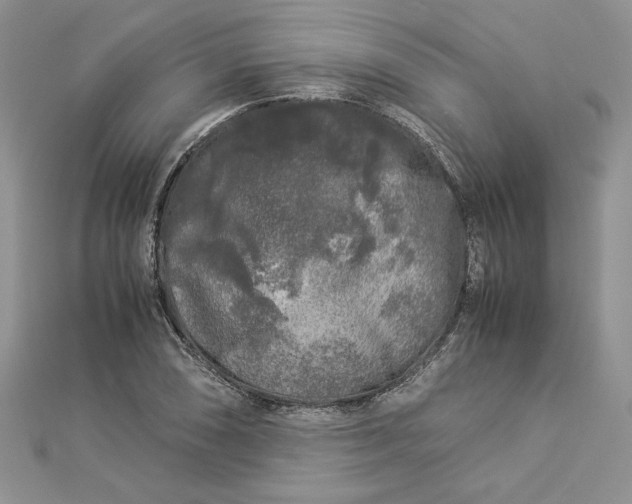 X0000112881074200909041636