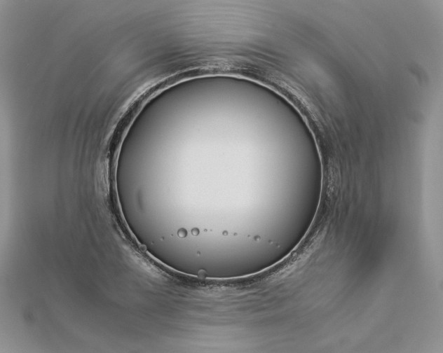 X0000112881075200909041636