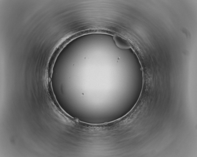 X0000112881076200909041636