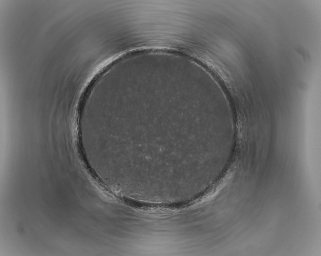 X0000112881077200909041636