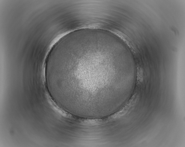 X0000112881078200909041636