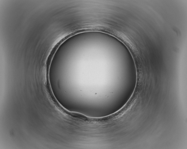 X0000112881079200909041636