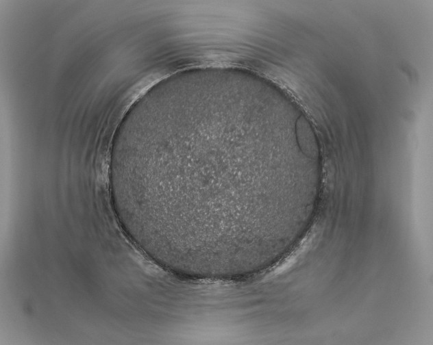 X0000112881081200909041636