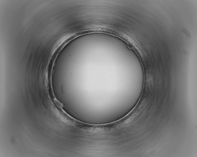 X0000112881082200909041636