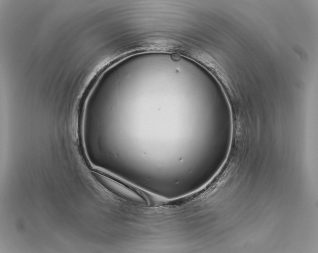 X0000112881083200909041636