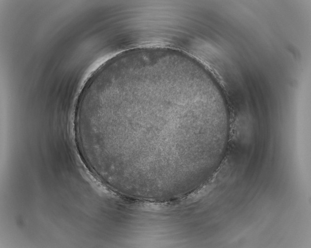 X0000112881086200909041636