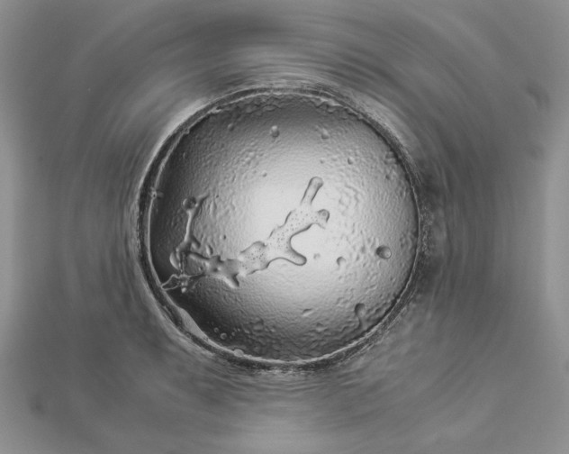 X0000112881087200909041636