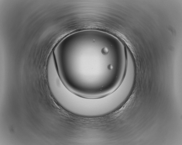 X0000112881089200909041636