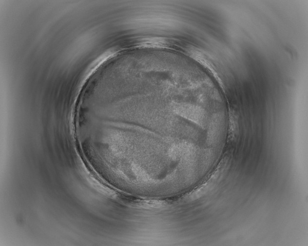 X0000112881090200909041636