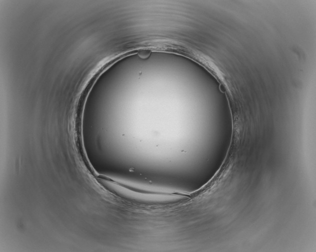 X0000112881091200909041636