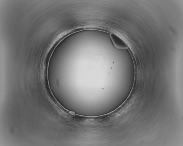 X0000112881093200909041636