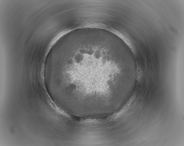 X0000112881094200909041636