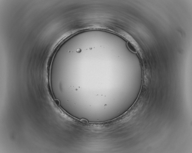 X0000112881096200909041636