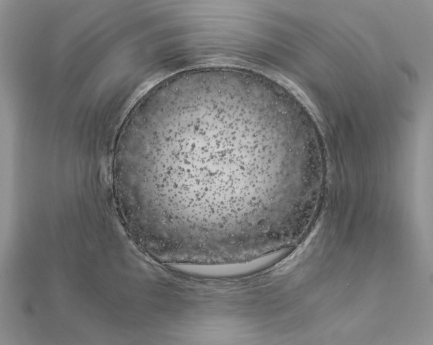 X0000112881097200909041636