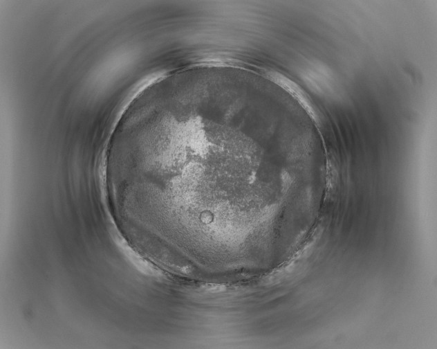 X0000112881098200909041636