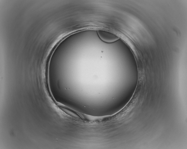 X0000112881099200909041636