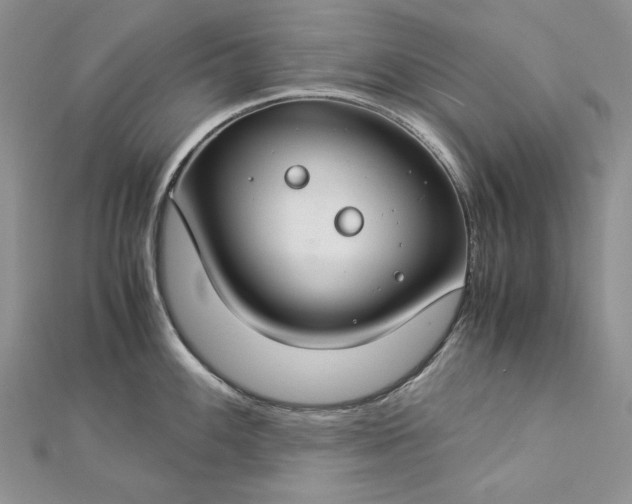 X0000112881100200909041636