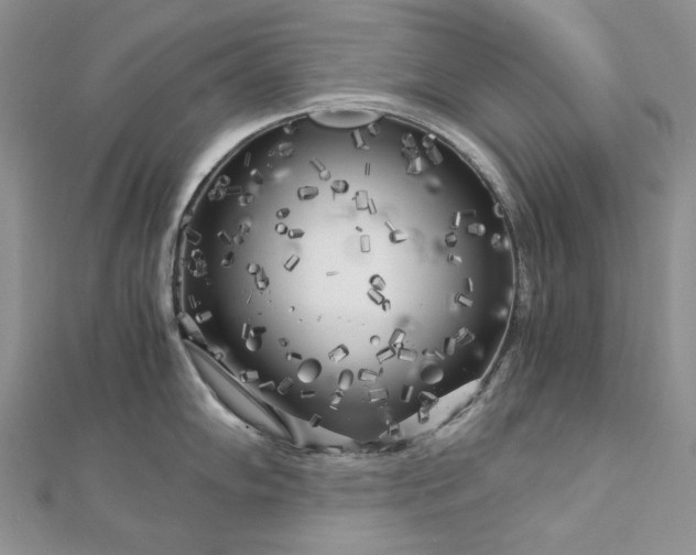 X0000112881102200909041636