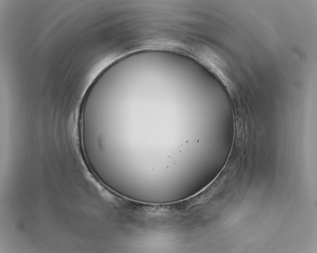 X0000112881103200909041636