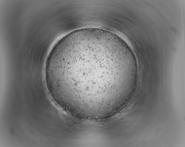 X0000112881104200909041636